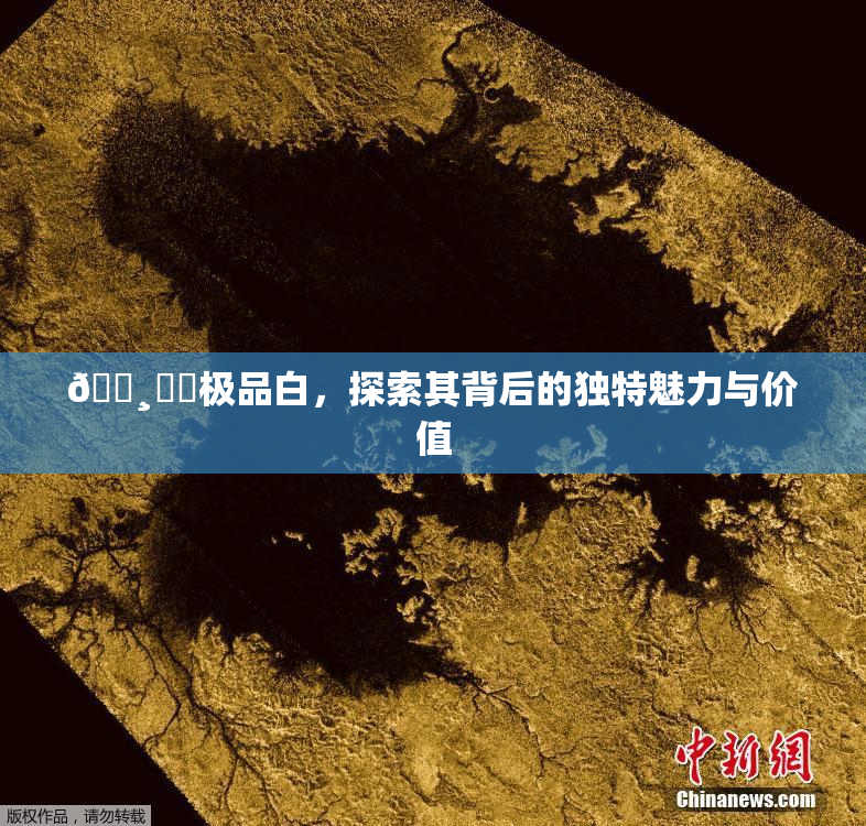 🌸‌✿极品白，探索其背后的独特魅力与价值