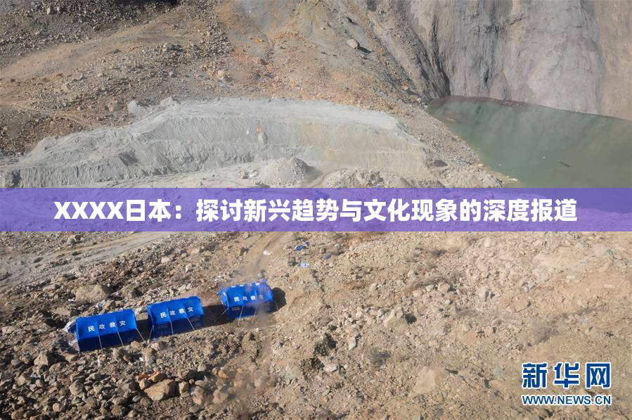 XXXX日本：探讨新兴趋势与文化现象的深度报道