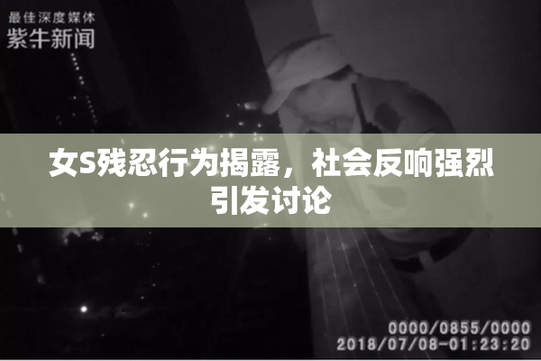 女S残忍行为揭露，社会反响强烈引发讨论