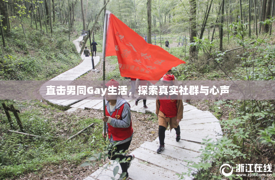 直击男同Gay生活，探索真实社群与心声
