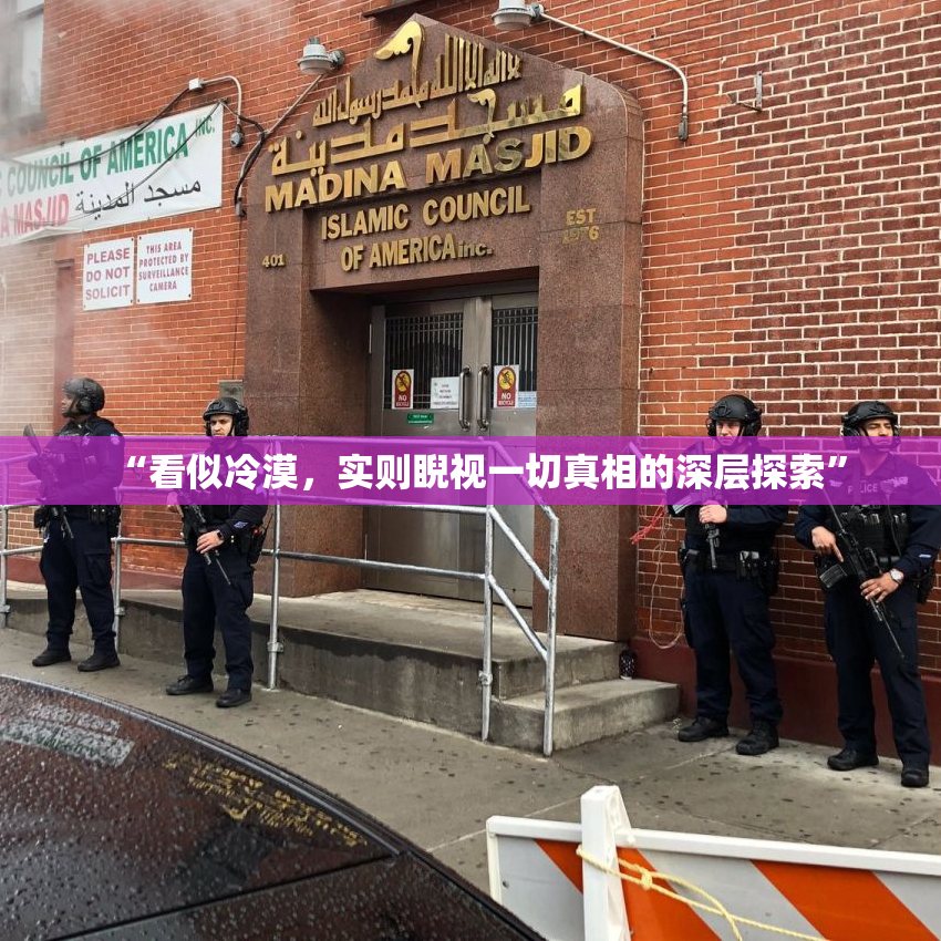 “看似冷漠，实则睨视一切真相的深层探索”