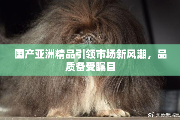 国产亚洲精品引领市场新风潮，品质备受瞩目