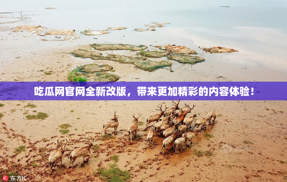 吃瓜网官网全新改版，带来更加精彩的内容体验！