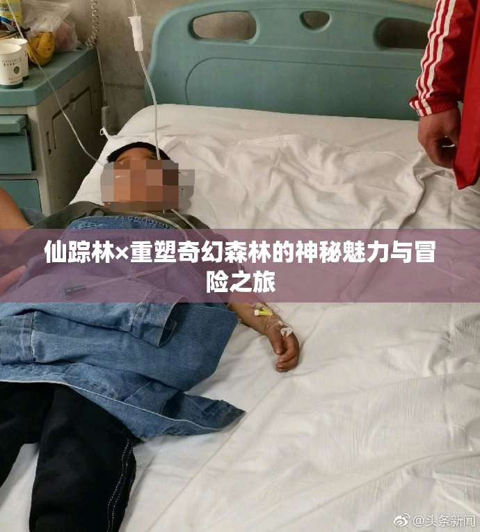 仙踪林×重塑奇幻森林的神秘魅力与冒险之旅