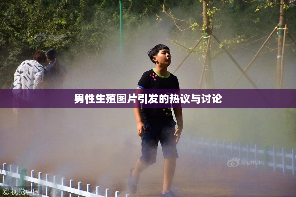 男性生殖图片引发的热议与讨论