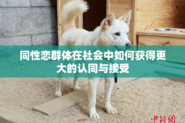 同性恋群体在社会中如何获得更大的认同与接受
