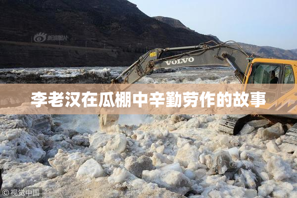 李老汉在瓜棚中辛勤劳作的故事