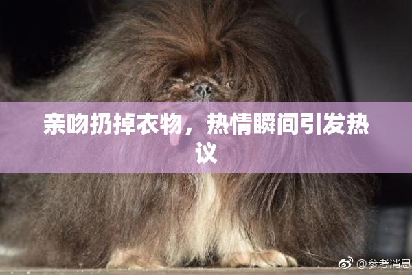 亲吻扔掉衣物，热情瞬间引发热议