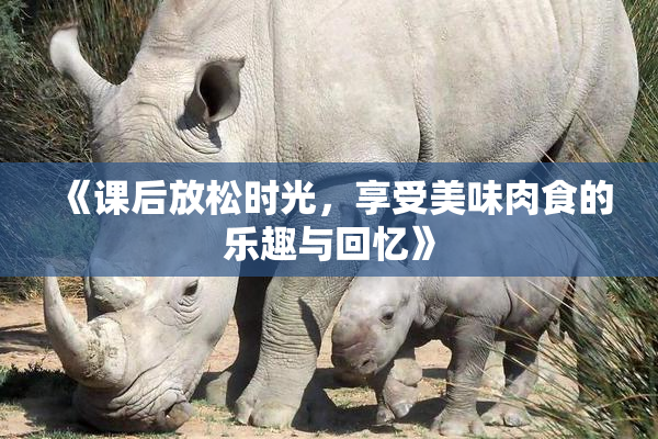 《课后放松时光，享受美味肉食的乐趣与回忆》