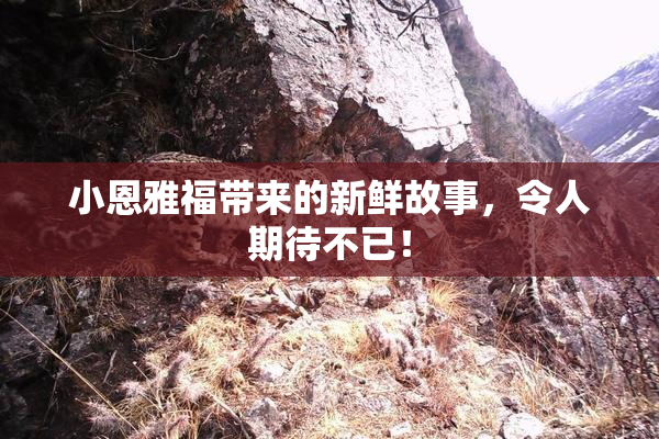 小恩雅福带来的新鲜故事，令人期待不已！