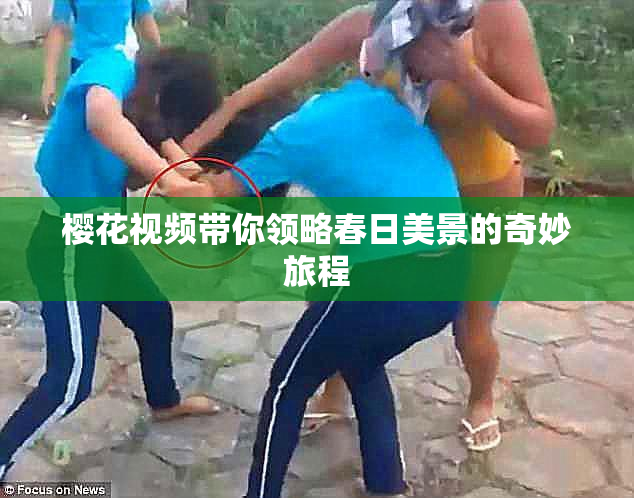 樱花视频带你领略春日美景的奇妙旅程