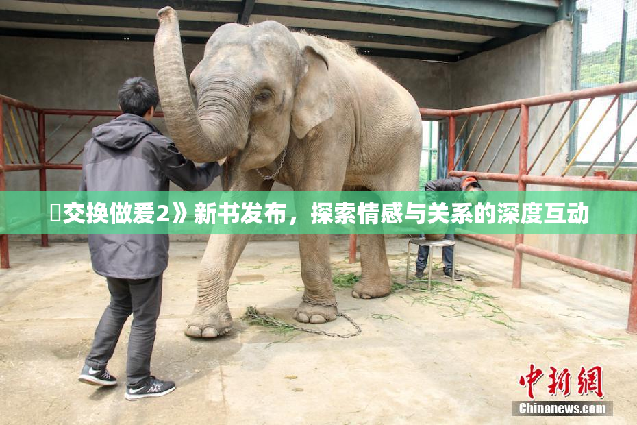 巜交换做爰2》新书发布，探索情感与关系的深度互动