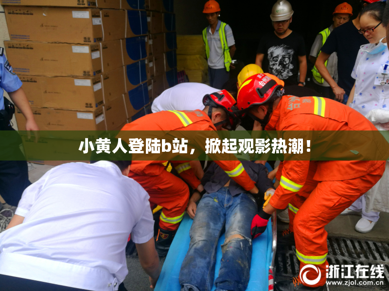 小黄人登陆b站，掀起观影热潮！