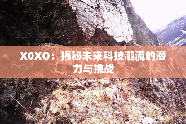 X0XO：揭秘未来科技潮流的潜力与挑战