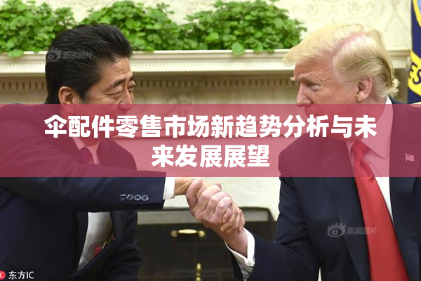 伞配件零售市场新趋势分析与未来发展展望