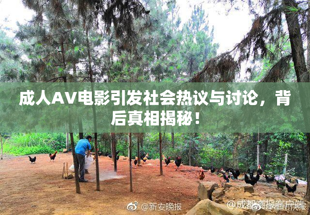 成人AV电影引发社会热议与讨论，背后真相揭秘！