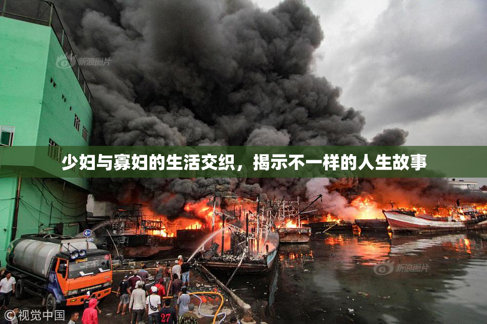 少妇与寡妇的生活交织，揭示不一样的人生故事