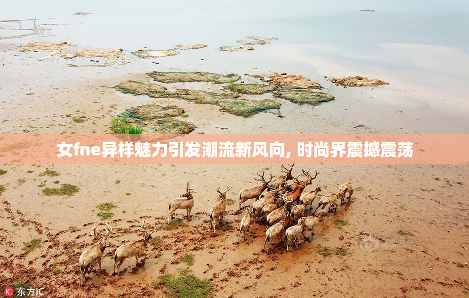 女fne异样魅力引发潮流新风向, 时尚界震撼震荡