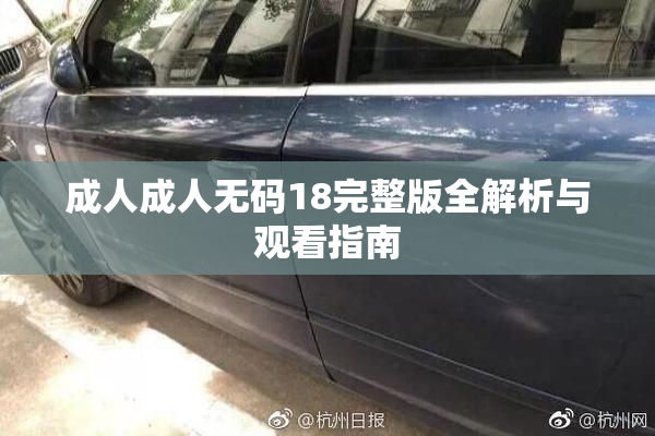 成人成人无码18完整版全解析与观看指南