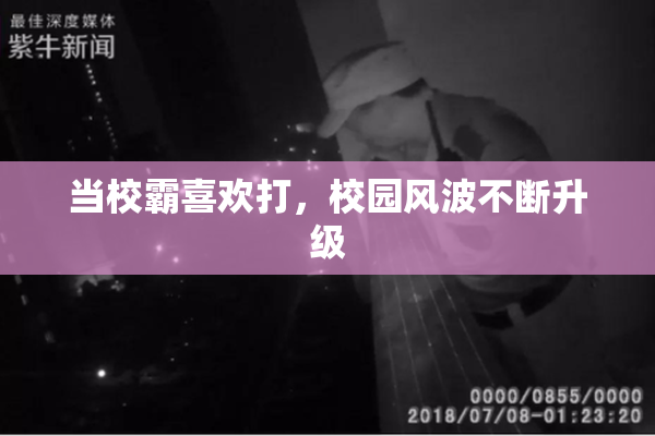 当校霸喜欢打，校园风波不断升级