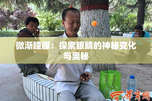 微渐瞳朦：探索眼睛的神秘变化与奥秘