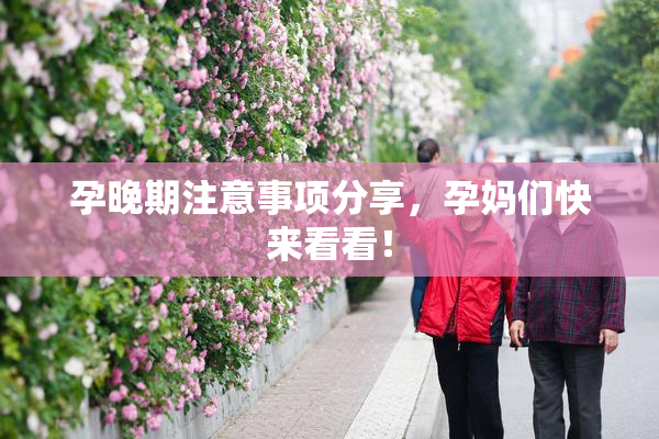 孕晚期注意事项分享，孕妈们快来看看！