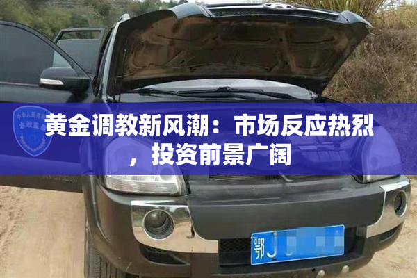 黄金调教新风潮：市场反应热烈，投资前景广阔
