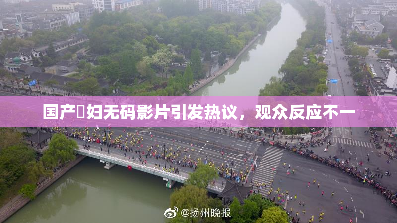 国产婬妇无码影片引发热议，观众反应不一