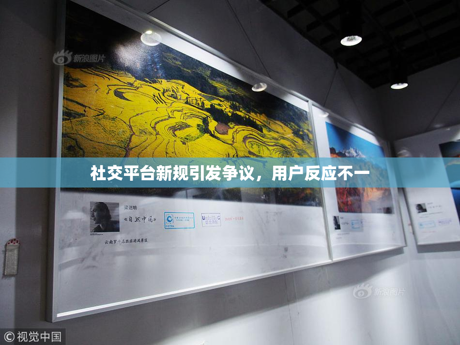社交平台新规引发争议，用户反应不一