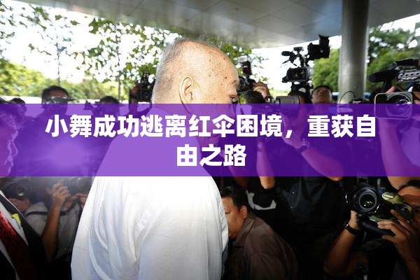 小舞成功逃离红伞困境，重获自由之路