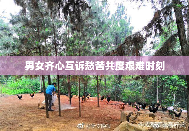 男女齐心互诉愁苦共度艰难时刻