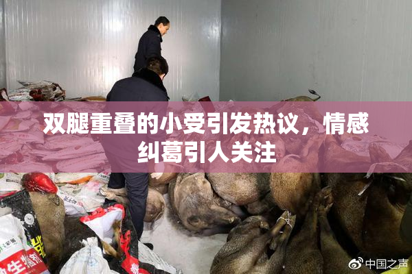 双腿重叠的小受引发热议，情感纠葛引人关注