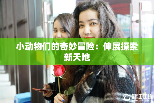 小动物们的奇妙冒险：伸展探索新天地