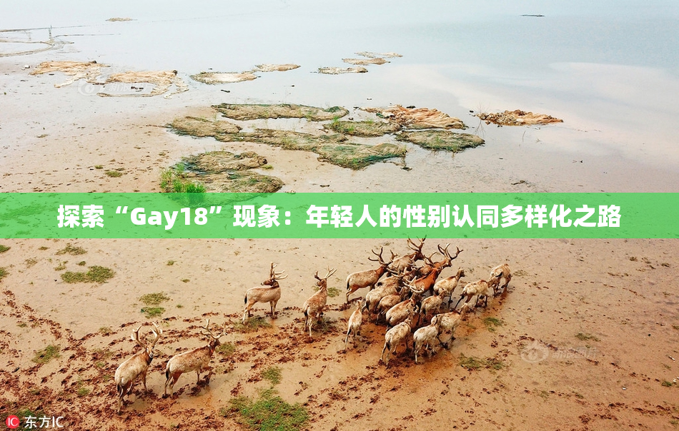 探索“Gay18”现象：年轻人的性别认同多样化之路