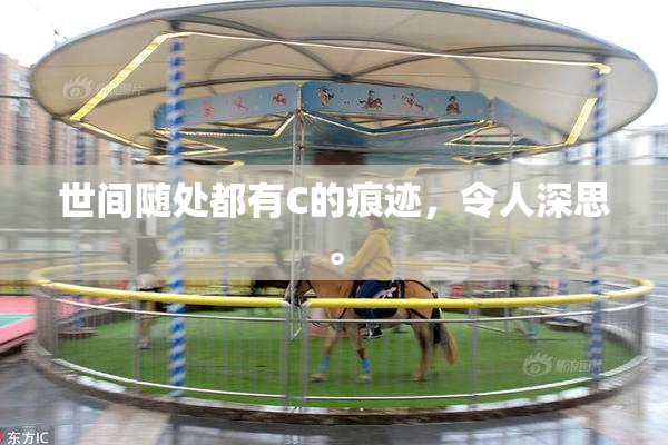 世间随处都有C的痕迹，令人深思。