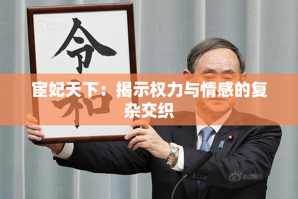 宦妃天下：揭示权力与情感的复杂交织