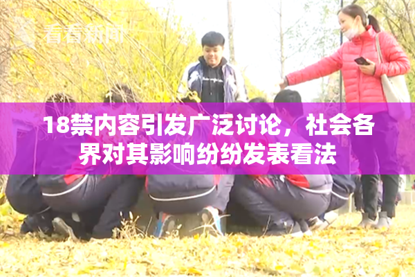 18禁内容引发广泛讨论，社会各界对其影响纷纷发表看法