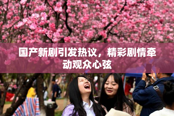 国产新剧引发热议，精彩剧情牵动观众心弦