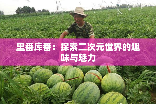 里番库番：探索二次元世界的趣味与魅力