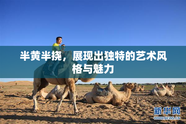 半黄半挠，展现出独特的艺术风格与魅力