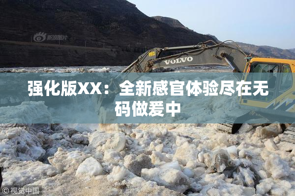 强化版XX：全新感官体验尽在无码做爰中