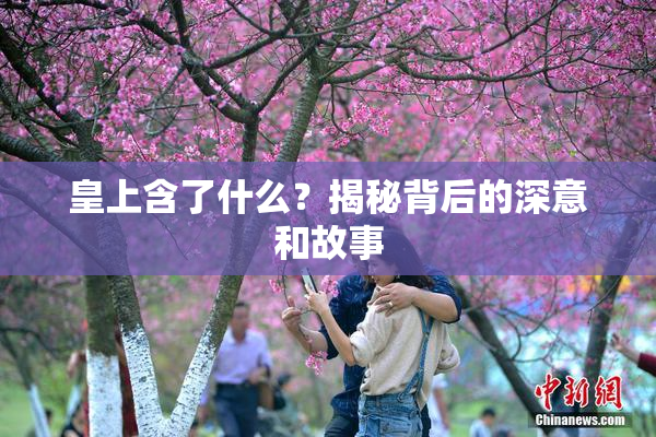 皇上含了什么？揭秘背后的深意和故事