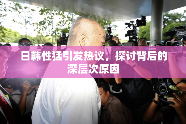 日韩性猛引发热议，探讨背后的深层次原因