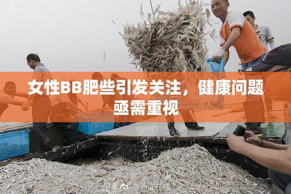 女性BB肥些引发关注，健康问题亟需重视
