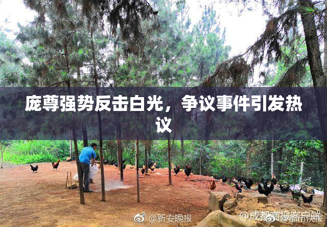庞尊强势反击白光，争议事件引发热议