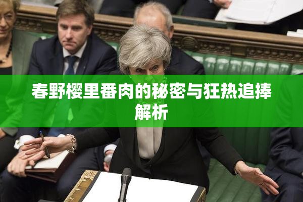 春野樱里番肉的秘密与狂热追捧解析