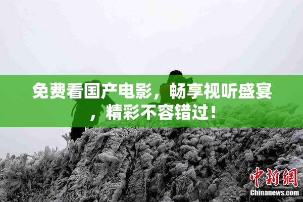 免费看国产电影，畅享视听盛宴，精彩不容错过！