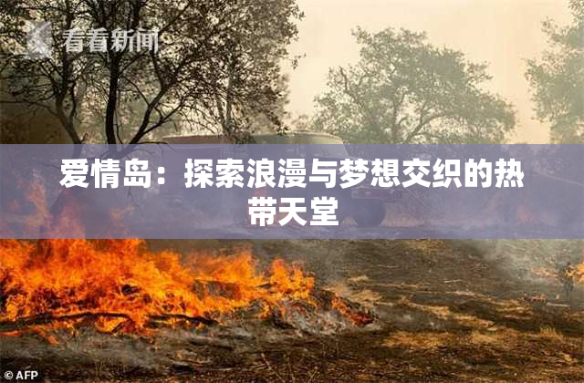爱情岛：探索浪漫与梦想交织的热带天堂
