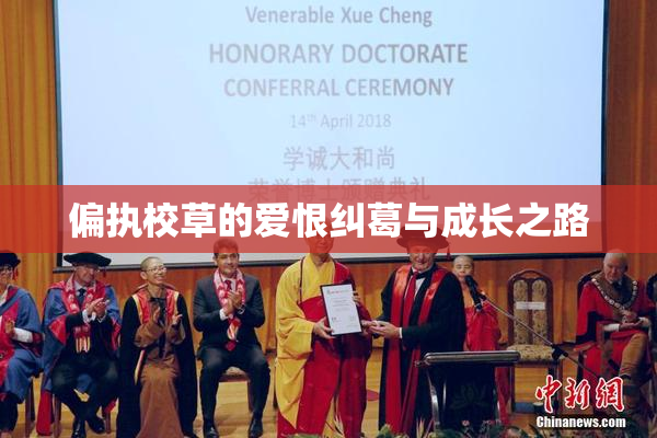 偏执校草的爱恨纠葛与成长之路