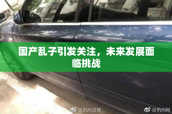 国产乱子引发关注，未来发展面临挑战